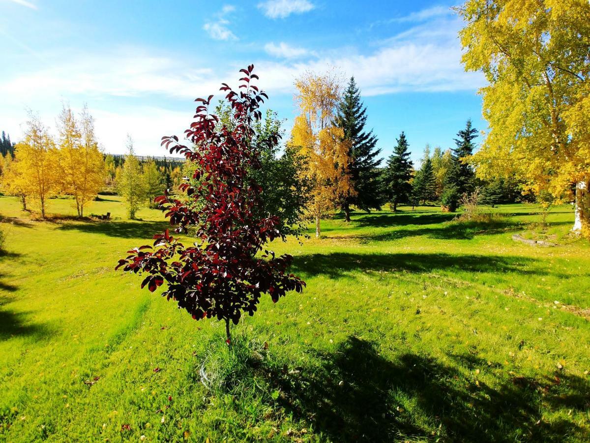 Northern Sky Lodge Fairbanks Bagian luar foto