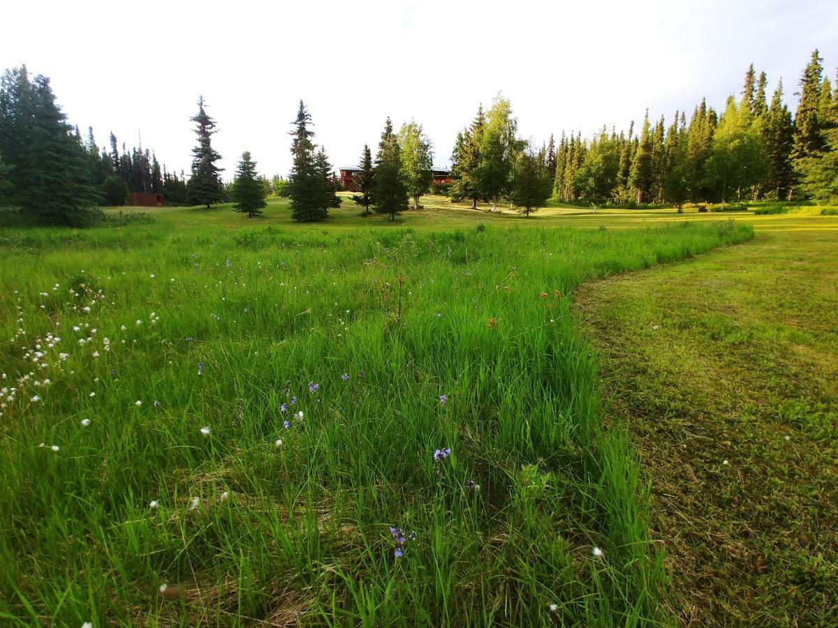 Northern Sky Lodge Fairbanks Bagian luar foto